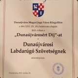 Dunaújvárosért díj 2013